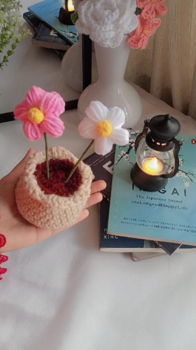 Flowers Pot